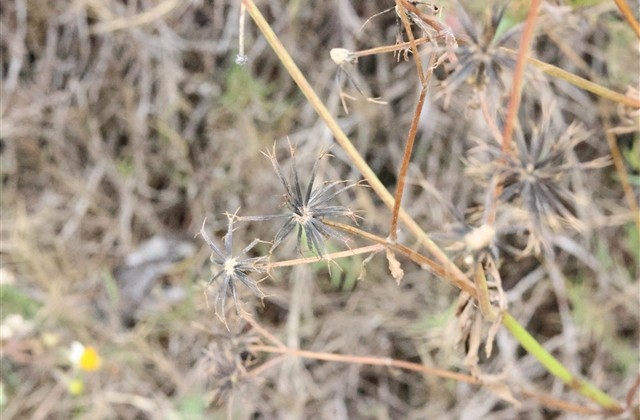 最吸引人的微信昵称男四个字 最吸引人的微信昵称男四个字