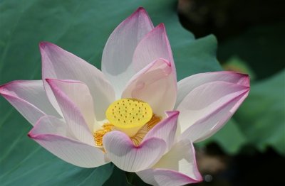 ​抖音最火昵称女生简短好听可爱(483个)