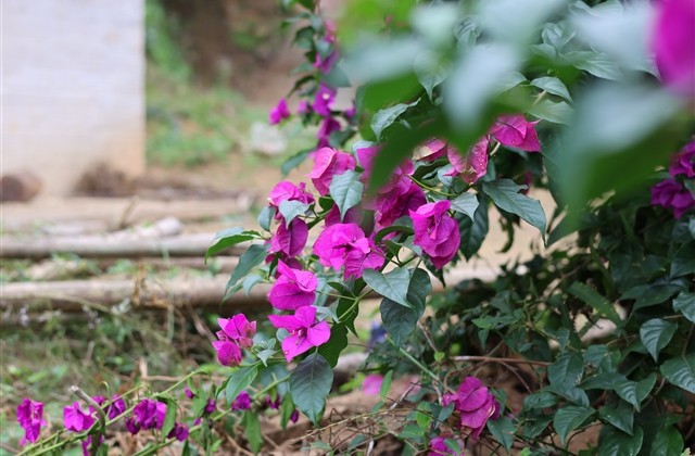 好听的小男人网名大全(优选480个) 好听的小男人网名大全(优选480个)