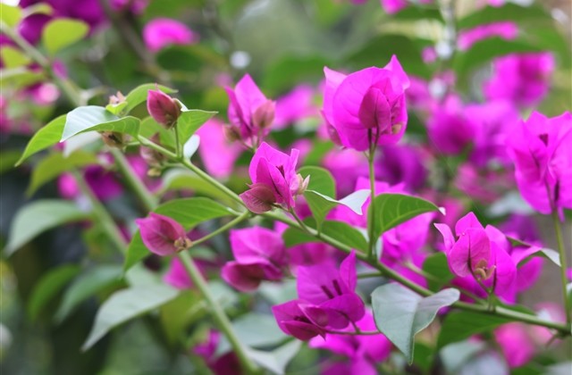 qq网名简单男生网名大全(313个) qq网名简单男生网名大全(313个)