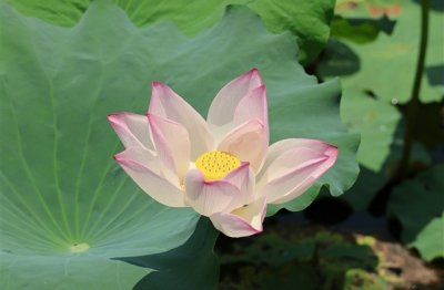 ​80后男人成熟昵称大叔(363个)