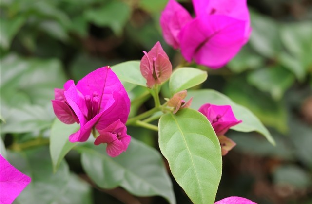 情感微信女生伤感网名(精选345个) 情感微信女生伤感网名(精选345个)