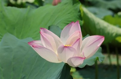 ​心态好格局大的微信名两个字(共460个)