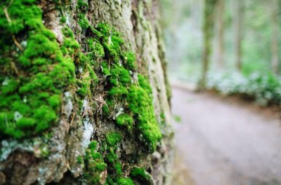 ​虐心性签名114句