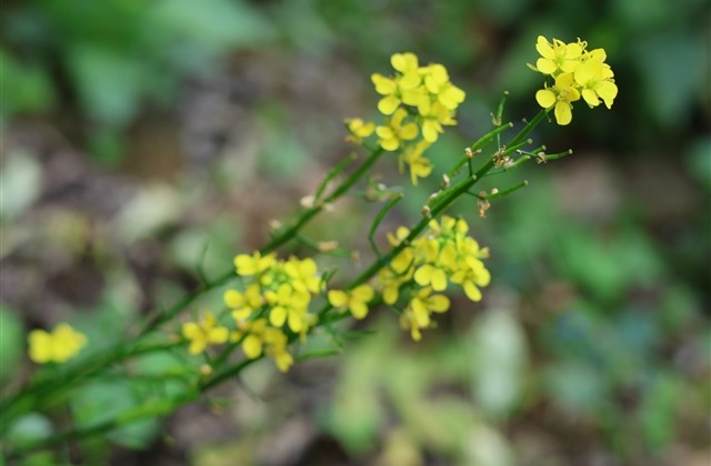 两个人恩爱永久的情侣网名 两个人恩爱永久的情侣网名