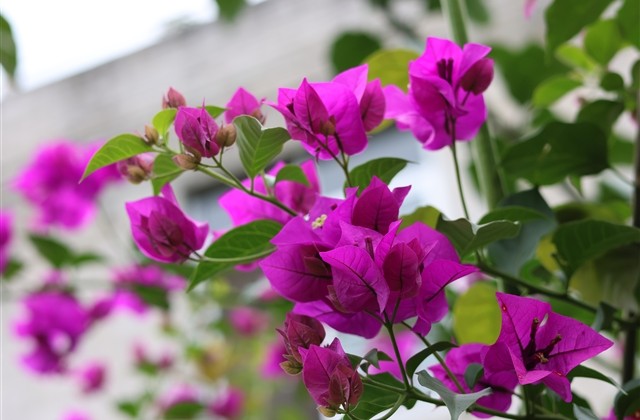 又污又黄的情侣网名带对象名字(精选95个) 又污又黄的情侣网名带对象名字(精选95个)