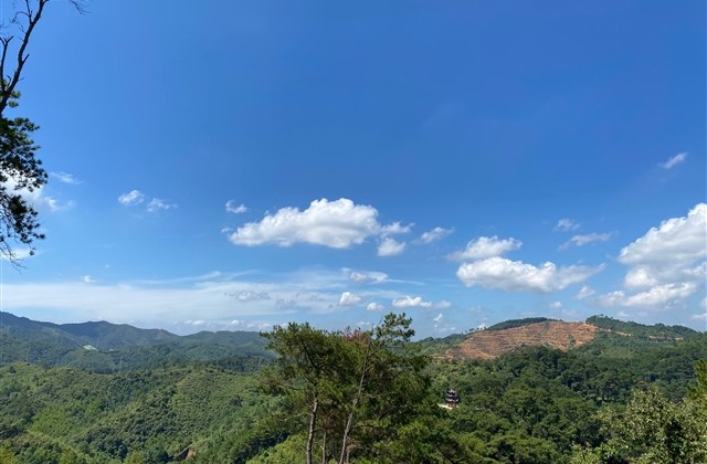 又污又黄的情侣网名带对象名字(精选95个) 又污又黄的情侣网名带对象名字(精选95个)