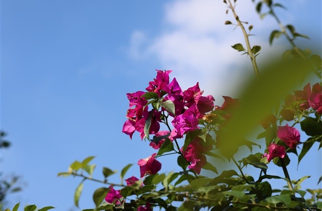 qq非主流伤感网名(优选201个)