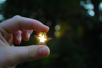 ​冬天里的腊梅怎么形容冬天腊梅花文案(31句)