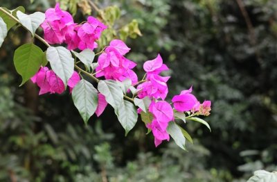 ​可爱的三字网名带符号(共157个)