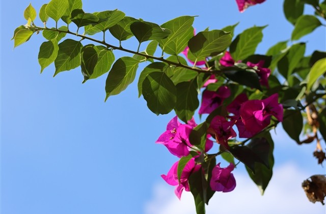 天蝎座2023年网名(优选167个)