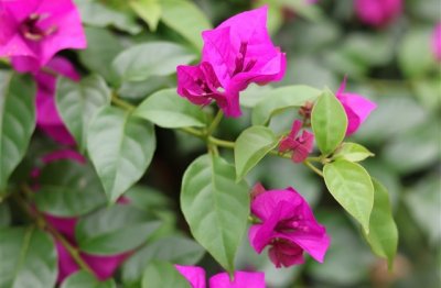 ​天蝎座2023年网名(优选167个)