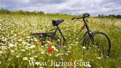 ​给朋友圈微商的说说66句