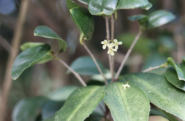 00后情侣网名可爱萌一点的