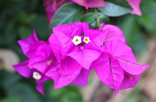 最新qq搞笑的网名(优选135个)