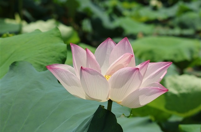 最新qq搞笑的网名(优选135个)