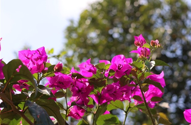 失恋的男生网名(124个)