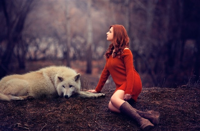 带有梦的微信名字大全四个字(133个)