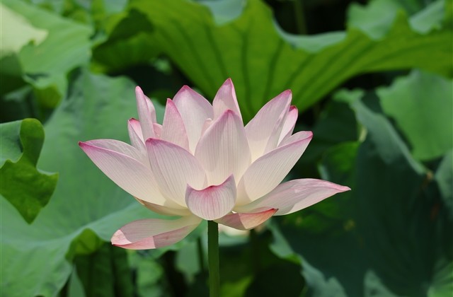 可以吸引妹子的游戏名(135个)