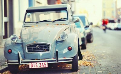 ​朋友圈晒花草的说说文案(精选53句)