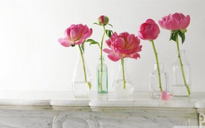 ​情感文字控对话短句（唯美文字控短句4个字）