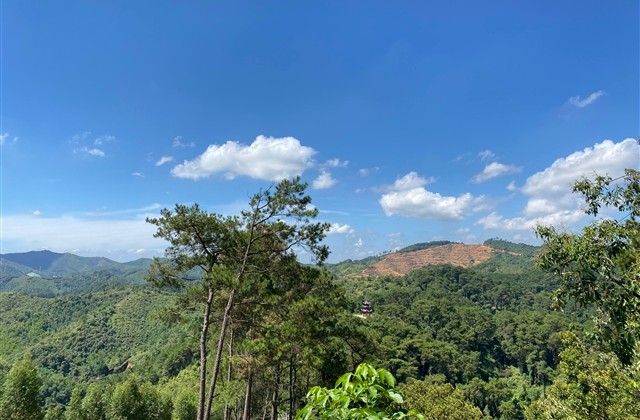 西游天下游戏名字大全(共69个)