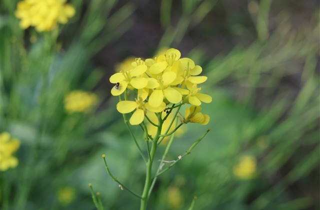 西游天下游戏名字大全(共69个)