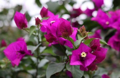 ​女生霸气微信名(78个)