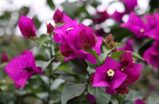 女生霸气微信名(78个)