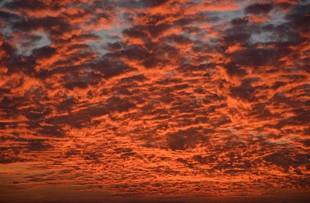 女性有涵养的微信名(精选67个)