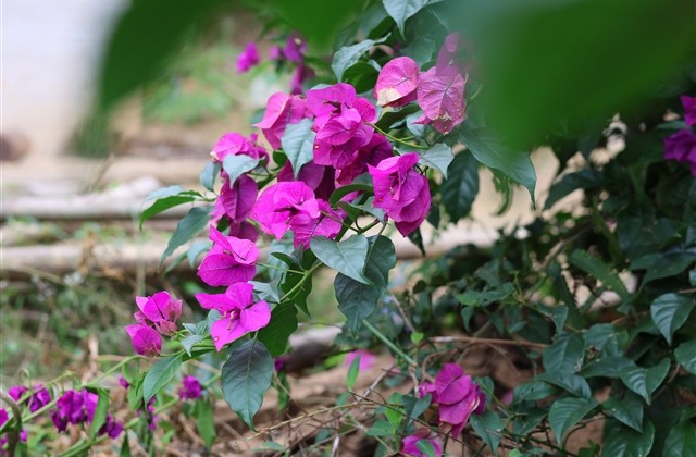 女性有涵养的微信名(精选67个)