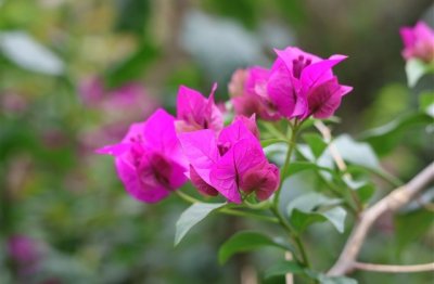 ​沙雕男生网名逗比英文名字(67个)