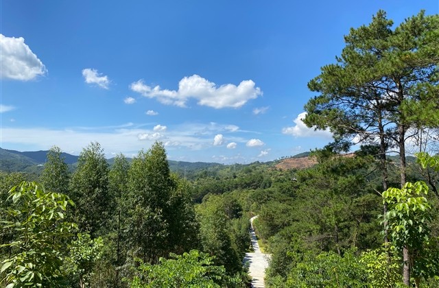 微信网名经典心酸孤独(59个)