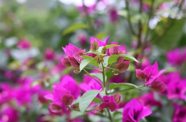 好的四字游戏昵称 四字比较好听的游戏名 好的四字游戏昵称 四字比较好听的游戏名