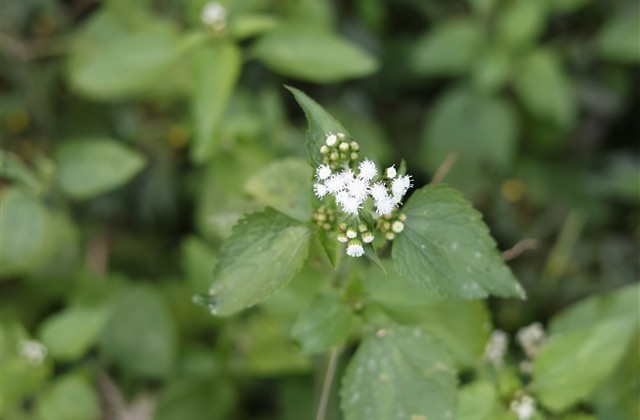 富有个性的网名四字 富有个性的网名四字