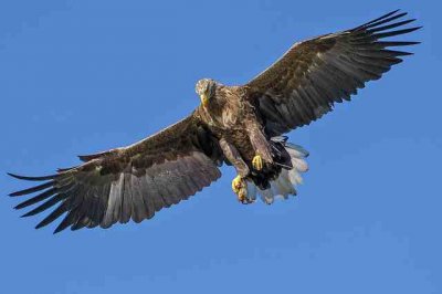 ​一般人想不到的游戏名字