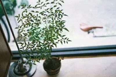 ​关于早晨阳光的个性签名