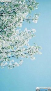 ​关于毕业的一句话（毕业季语录简短一句话）