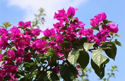 ​40至50岁微信昵称男两个字(41个)