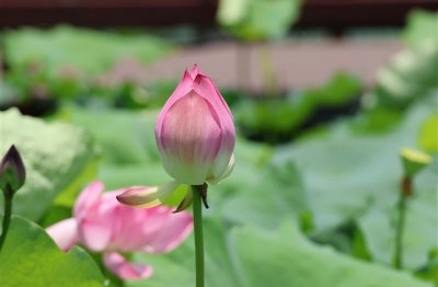 ​萌萌哒的符号网名(共39个)