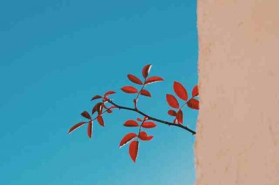 ​古风五字网名235个