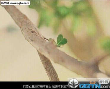 ​个性签名女生简单气质(24条)