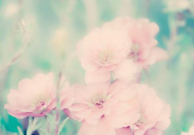 ​形容戏水很开心的诗句