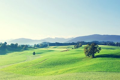 ​简洁的谷雨文案(精选93句)