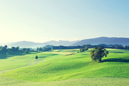 简洁的谷雨文案(精选93句)