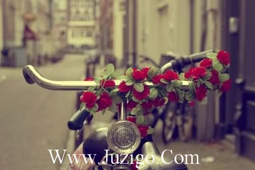 七夕抖音超火文案七夕抖音作品文案(精选98句)