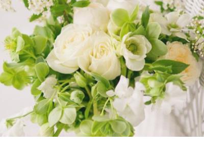 描写春天花草的拟人句