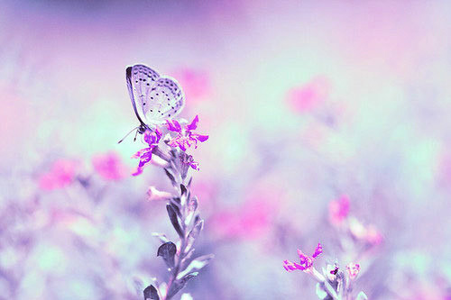 早安励志短句 清晨说说发朋友圈语录(31句)