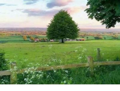 歇后语大全及答案搞笑