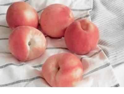 蛇跑兔子窜歇后语